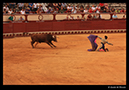 %_tempFileName27)%20Corrida%20de%20Torros,%20Puerto%20de%20Santa%20Maria%