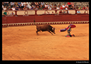 %_tempFileName28)%20Corrida%20de%20Torros,%20Puerto%20de%20Santa%20Maria%