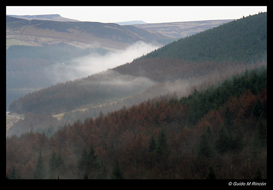 %_tempFileName22)%20Ridges%20Coppice%20Peak%20District%